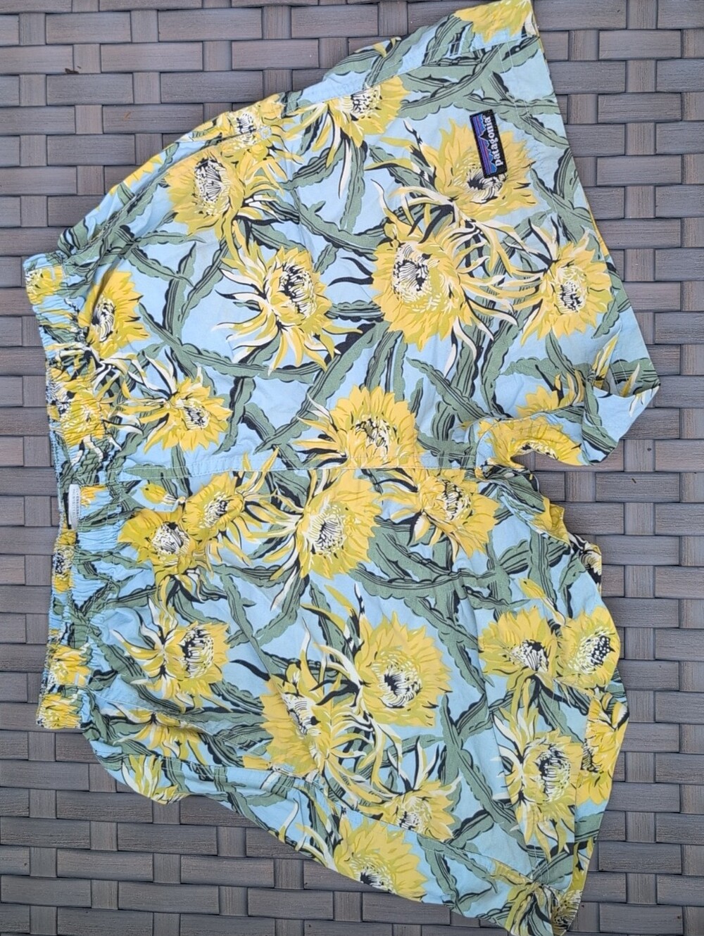Patagonia Baggies Shorts